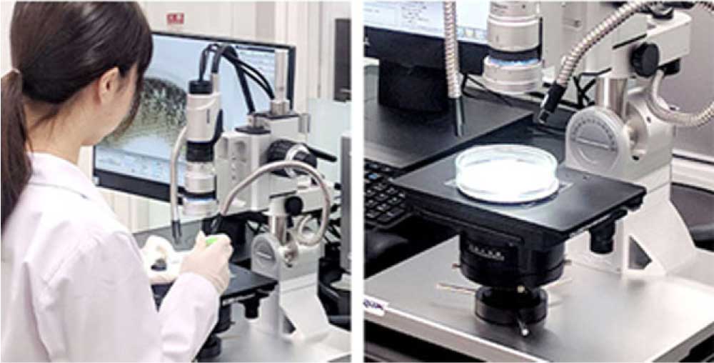 研究の様子 イメージ写真